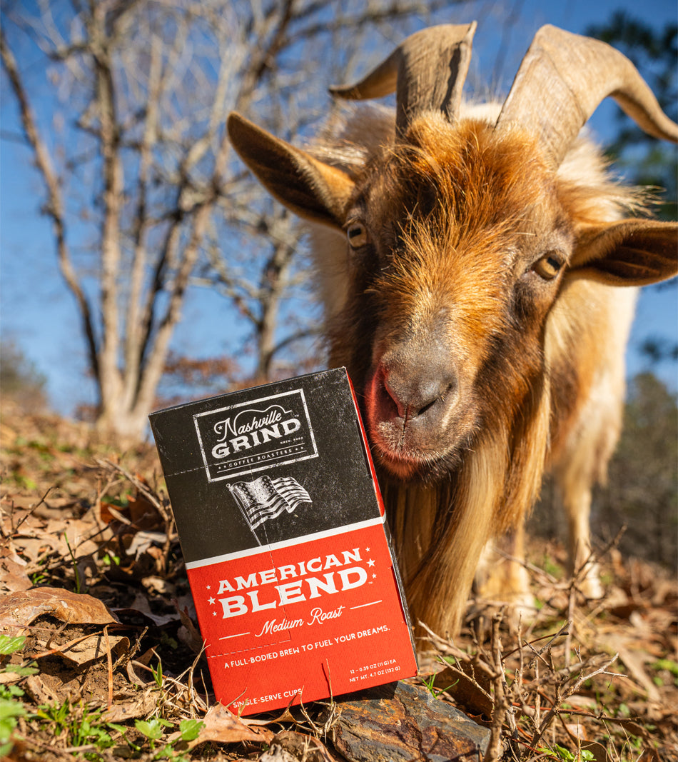 American Blend